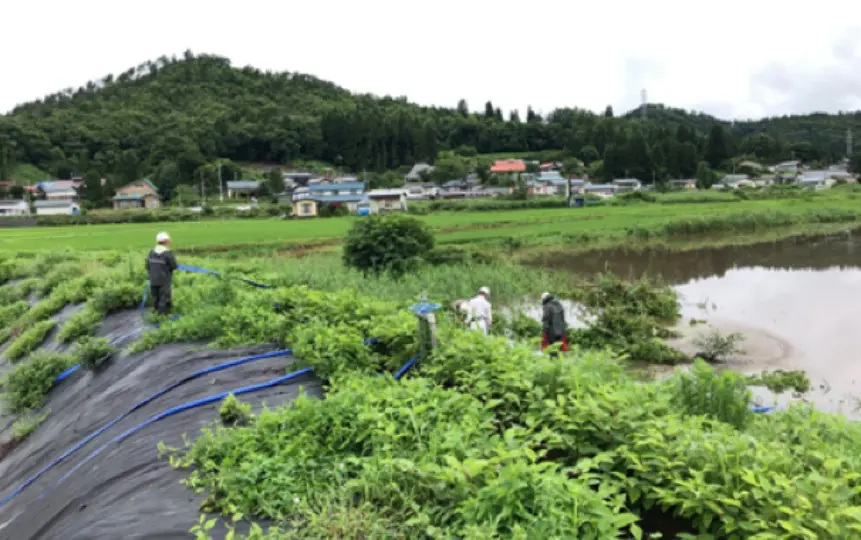 災害時支援